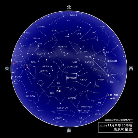 11月24星座